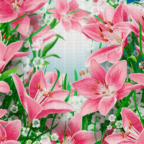 flowers background by nataliplus - zadarmo png