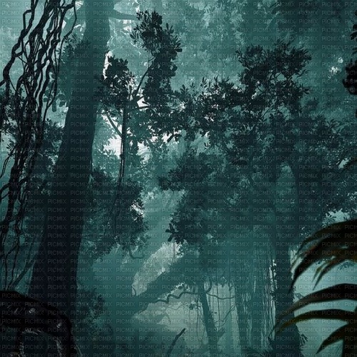 Tomb Raider Wood - фрее пнг