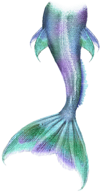 merenneito, mermaid - 免费PNG
