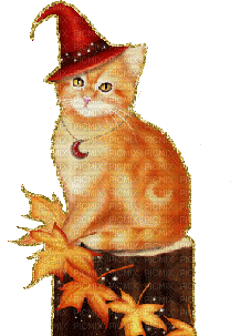 halloween cat micio - Бесплатный анимированный гифка