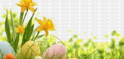 Kaz_Creations Backgrounds Background Easter - nemokama png