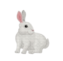 -rabbit-coniglio-lapin-Kaninchen-Кролик - kostenlos png