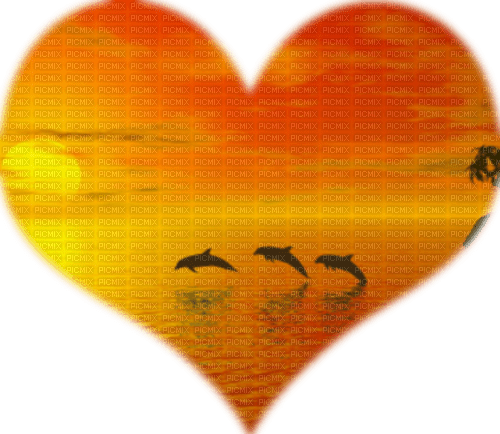 dolceluna heart summer sunset dolphin dolphins - Free PNG