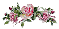MMarcia  gif rosas - PNG gratuit
