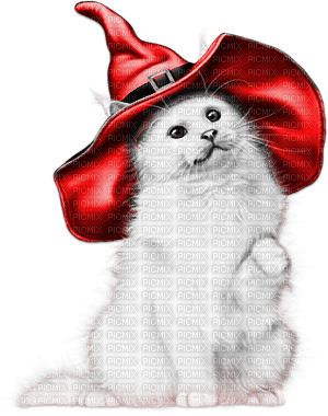 soave cat halloween witch deco black white red - PNG gratuit