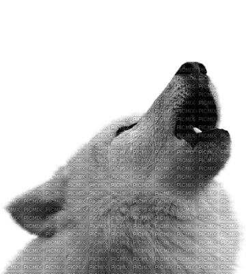 Wolf - δωρεάν png