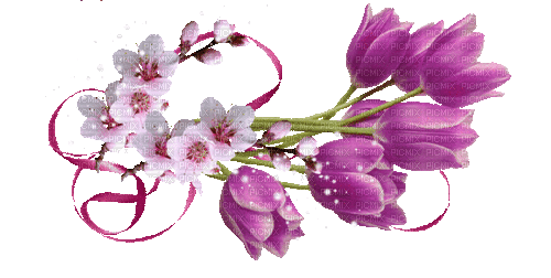 Spring Flowers - Nemokamas animacinis gif