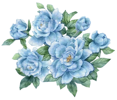 Flowers blue bp - zdarma png