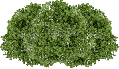Baum - Безплатен анимиран GIF