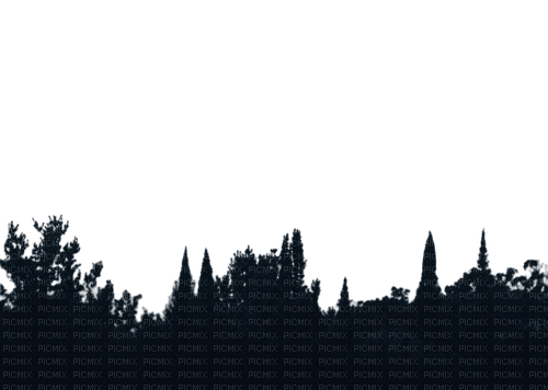 dark forest - 免费PNG