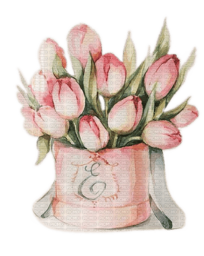 Tulpen, Blumen, Tulips - darmowe png