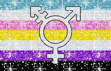 Glitter trans transgender nonbinary Pride flag - Kostenlose animierte GIFs