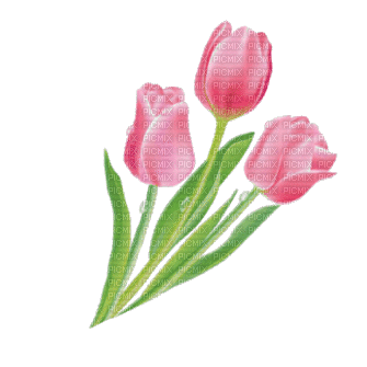 Тюльпаны 2 - GIF animate gratis