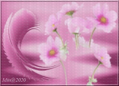 bg--background--pink--rosa--flowers--blommor - δωρεάν png