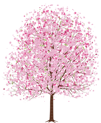 Cherry blossom flowers tree - gratis png