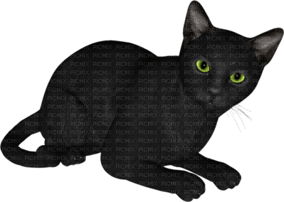 fekete cica - бесплатно png