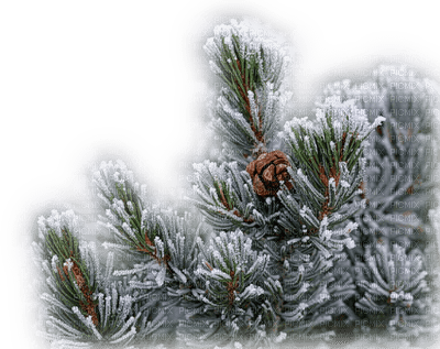 Kaz_Creations Winter Branch - δωρεάν png