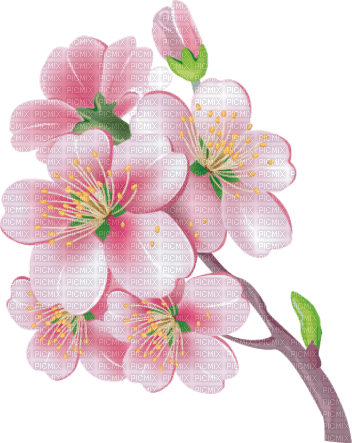Blue DREAM  70 _ flowers_branch_   Cherry blossoms - 無料png