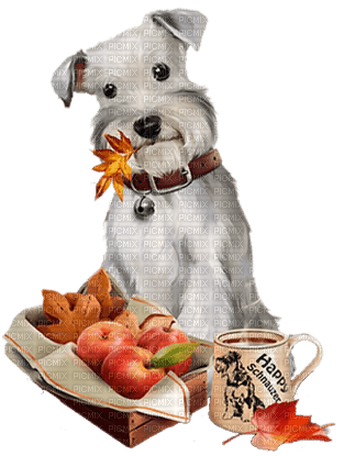 autumn dog / chien automne - PNG gratuit