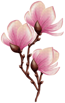 Kaz_Creations Flowers Flower Branch - ingyenes png