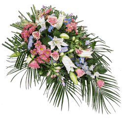 Kaz_Creations Deco Flowers Flower Spray Colours - PNG gratuit