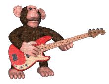 Monkey - GIF animé gratuit