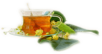 minou-tea and flower-te-blomma-deco - PNG gratuit