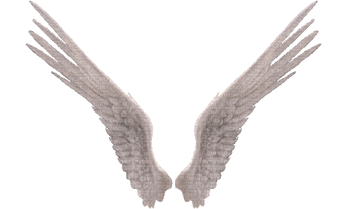 angel wings - Nemokamas animacinis gif