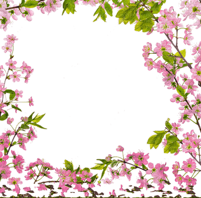 frame cadre flowers - nemokama png