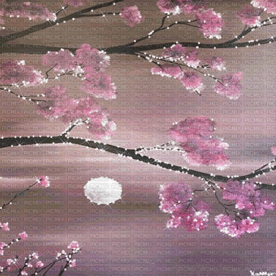 kikkapink background flowers animated oriental - GIF animasi gratis