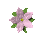 flower pink deco cute blooming bloom - GIF animate gratis