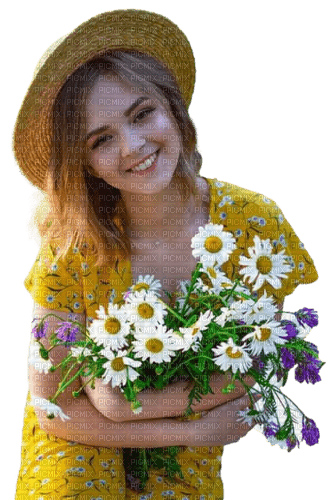 Marguerites - zadarmo png