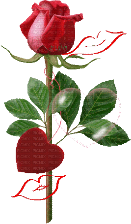 Rose, Kuss, Herz - Bezmaksas animēts GIF