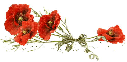 fleur rouge - darmowe png