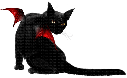 Cat.Black.Red - Free PNG