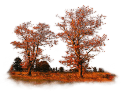 Kaz_Creations Trees Tree Colours - png gratuito