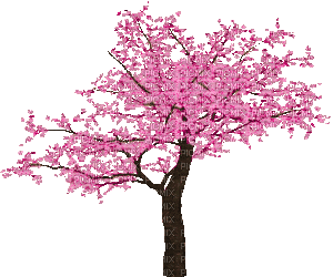 spring tree 3 - Δωρεάν κινούμενο GIF