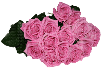 Kaz_Creations Deco Flowers Bouquet  Colours - png gratis