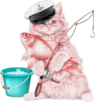 soave deco summer cat fish animals funny pink - Free PNG