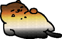 Bear Tubbs the cat - kostenlos png