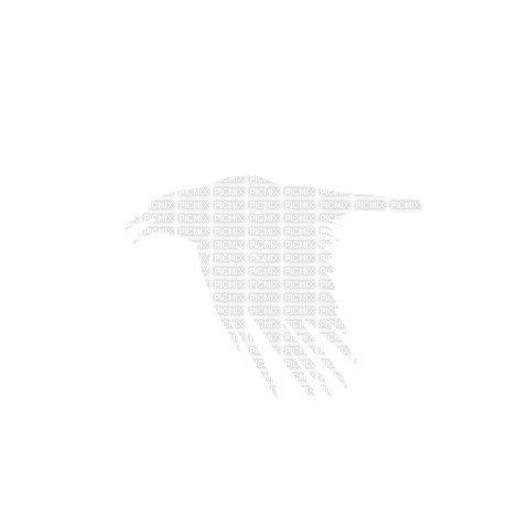 animals crow nancysaey - GIF animate gratis