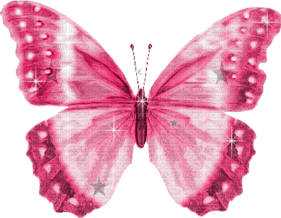 dulcineia8 borboletas - Nemokamas animacinis gif