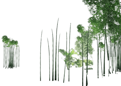 bamboo,tree - darmowe png
