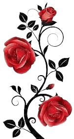 Roses gothiques - PNG gratuit