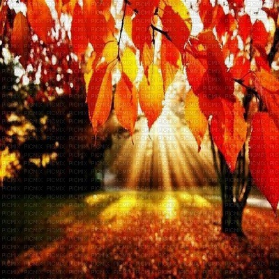 Herbst automne autumn - png gratis