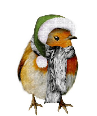Kaz_Creations Winter Birds Christmas Deco - PNG gratuit