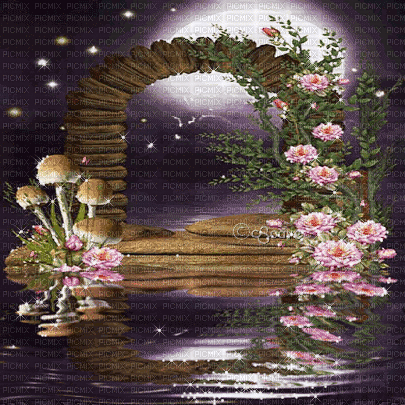 soave background animated fantasy reflection water - GIF animé gratuit