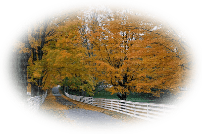 Autumn paysage - besplatni png