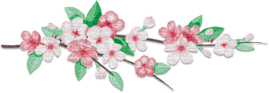 soave deco flowers spring branch pink green - фрее пнг
