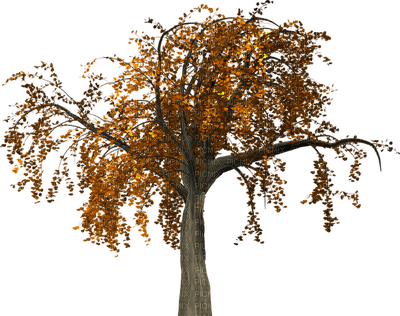 Autumn - безплатен png